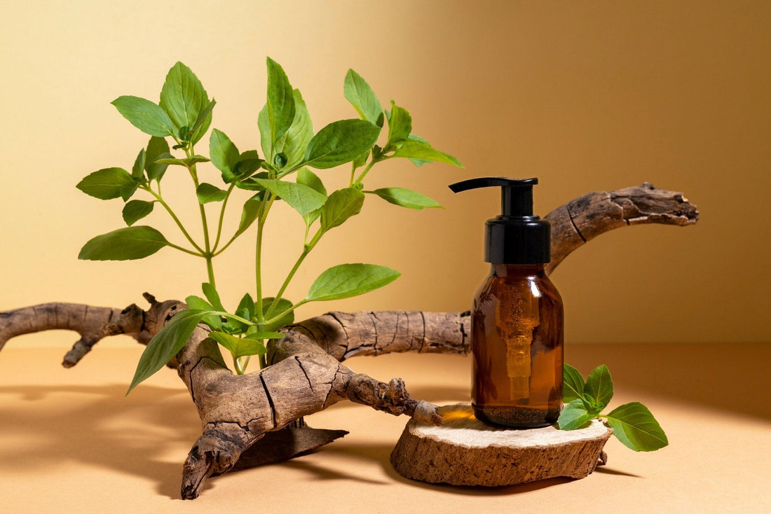 How to Use the Anti-Ageing Collection Box for Best Results ?